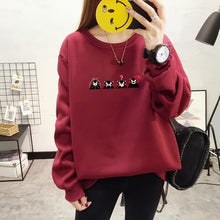 Load image into Gallery viewer, Kumamon Bear Sweater